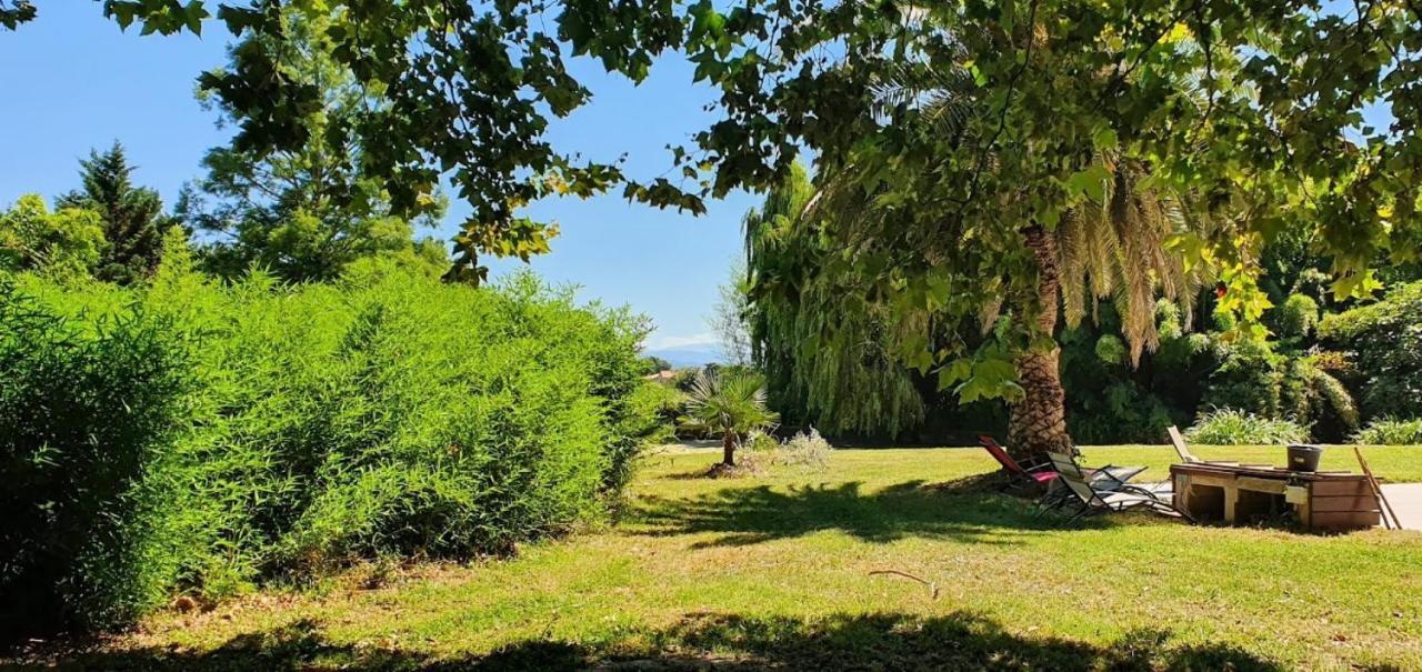 Gite De 420 Metres Carres Dans Chateau L'Ange Au Violon Jusqu'A 13 Couchages Conques-sur-Orbiel Экстерьер фото